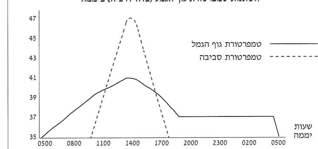 (בספר תמונה של גרף השתנות טמפרטורה)